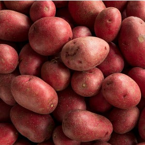 Farm Fresh Russet Potatoes